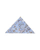 Paisley Print Light Blue Shirt with Matching Handkerchief